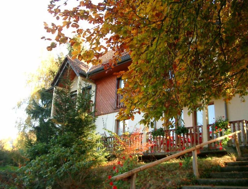 Luttenbach-près-Munster Le Chalet מראה חיצוני תמונה