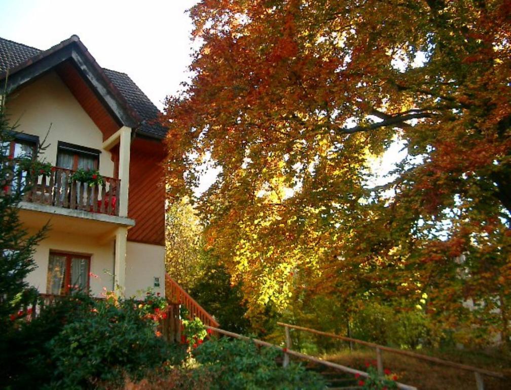 Luttenbach-près-Munster Le Chalet מראה חיצוני תמונה